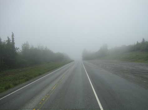 Fog