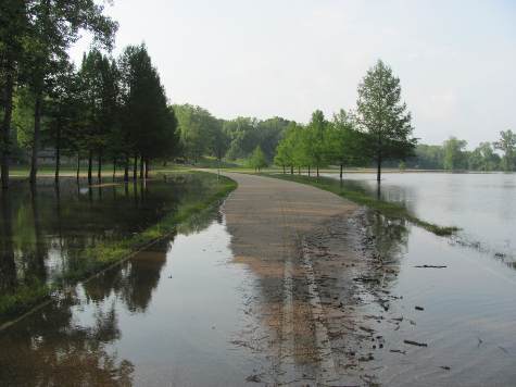 Ditch