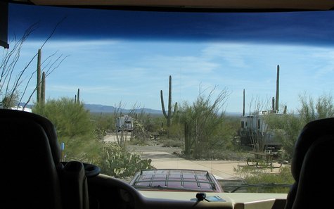 Organ Pipe Cactus site